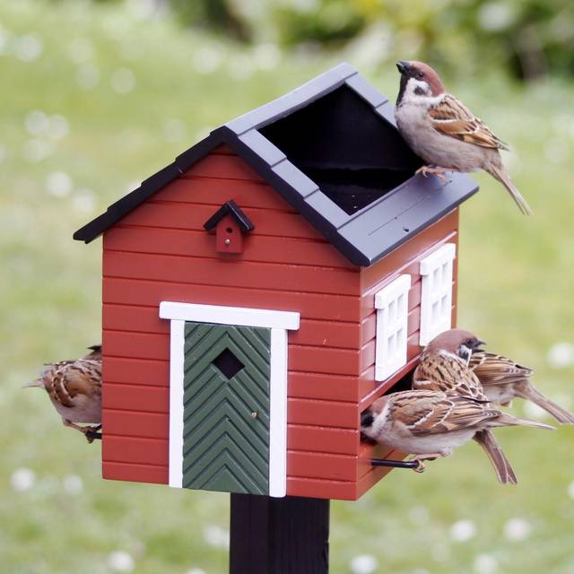 Billede af Wildlife Garden foderhus med fuglebad