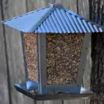 Hvordan kan man undgå, at foderbrættet bliver oversvømmet af regn?