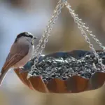 Kan man bruge forskellige slags foder i samme fuglefoderhus?